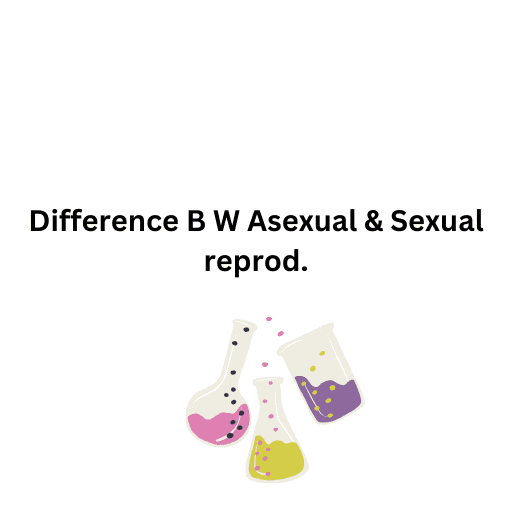 Difference B W Asexual & Sexual reprod.